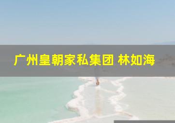 广州皇朝家私集团 林如海